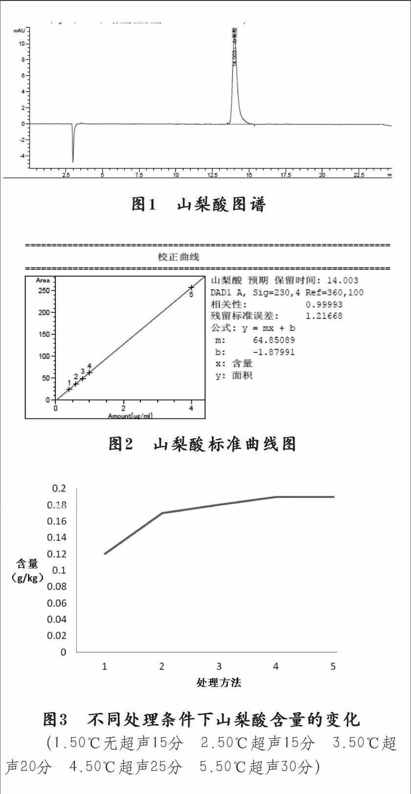 澳门十大正规网投平台